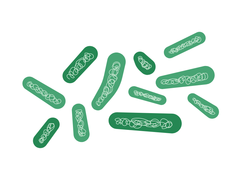 green bacteria 400x300 1