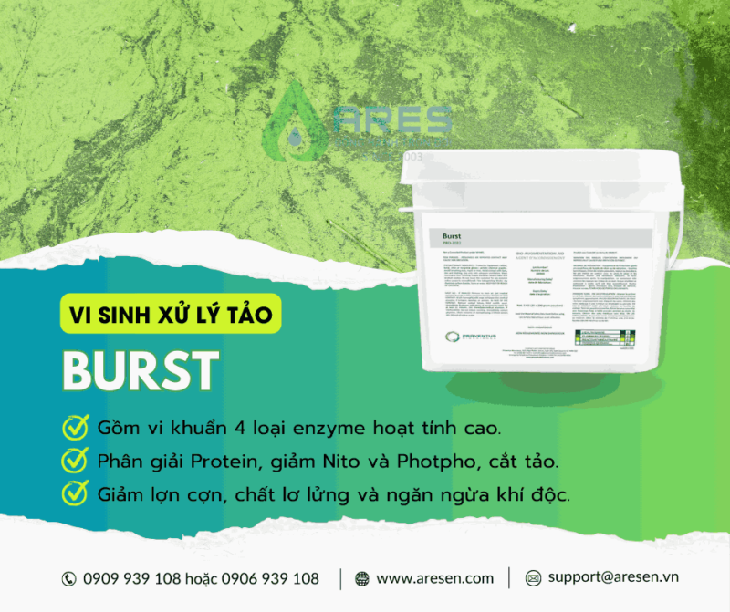 Burst – Men vi sinh cat tao