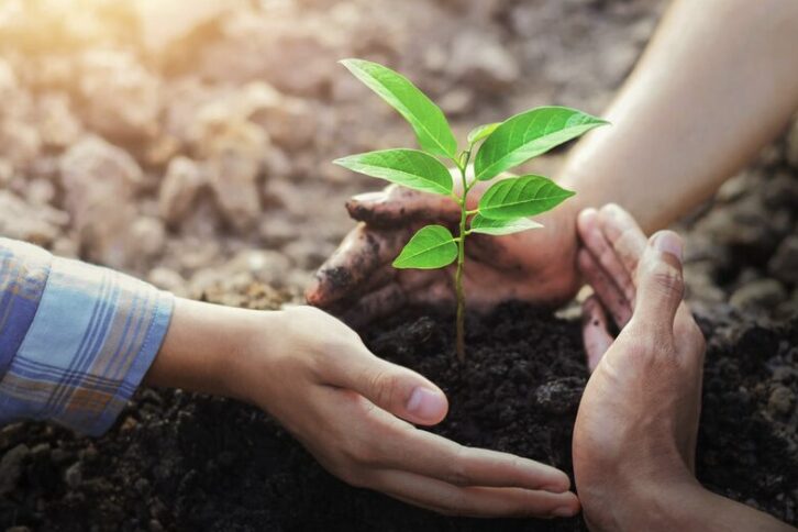 Khí nhà kính là gì? Biện pháp giảm thiểu phát thải khí nhà kính image 1 13