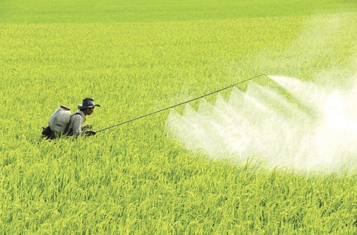 Khí nhà kính là gì? Biện pháp giảm thiểu phát thải khí nhà kính image 1 5