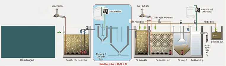 Xử lý nước thải chăn nuôi theo hướng tuần hoàn kinh tế